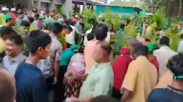 মদনে এমপি বাবরের বিতরণের চারা নিয়ে হুড়োহুড়ি, সভাস্থলে আসার আগেই ‘লুটের’ অভিযোগ